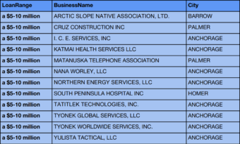 payroll company names