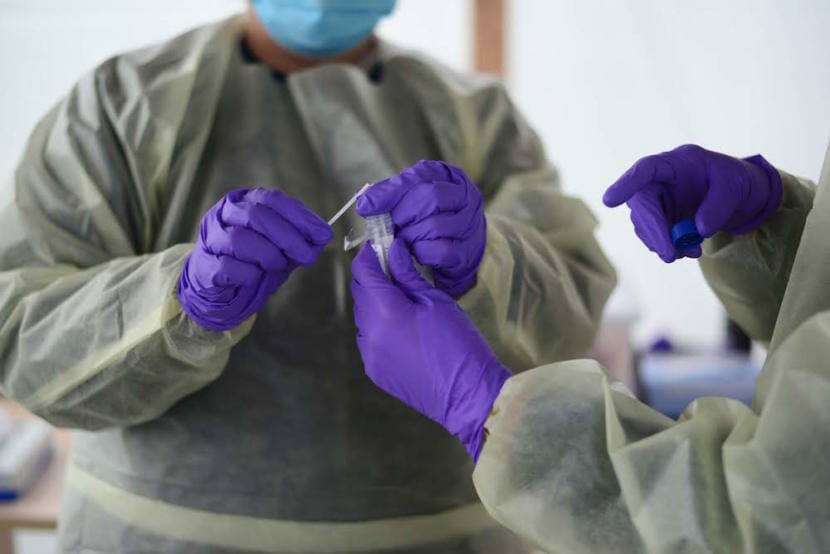 A health care worker with purple gloves handling a COVID-19 test swab