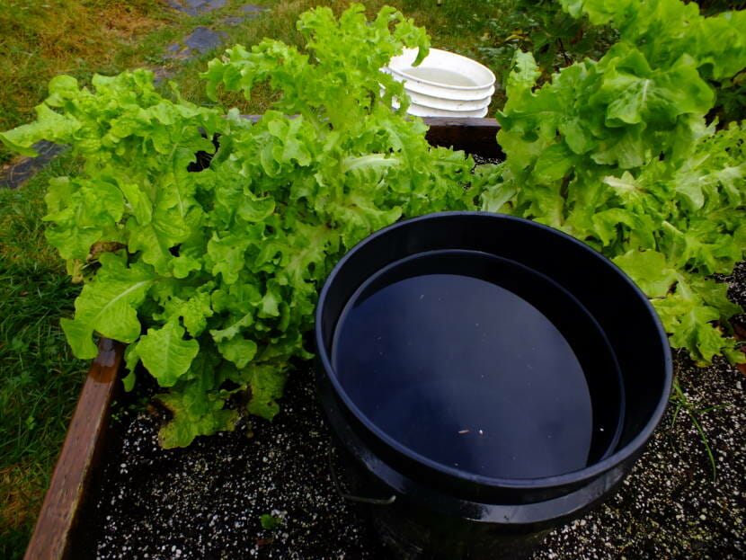 Cold sink buckets