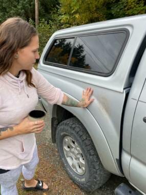 Haines Bears Break Into Cars Lick Booster Seats