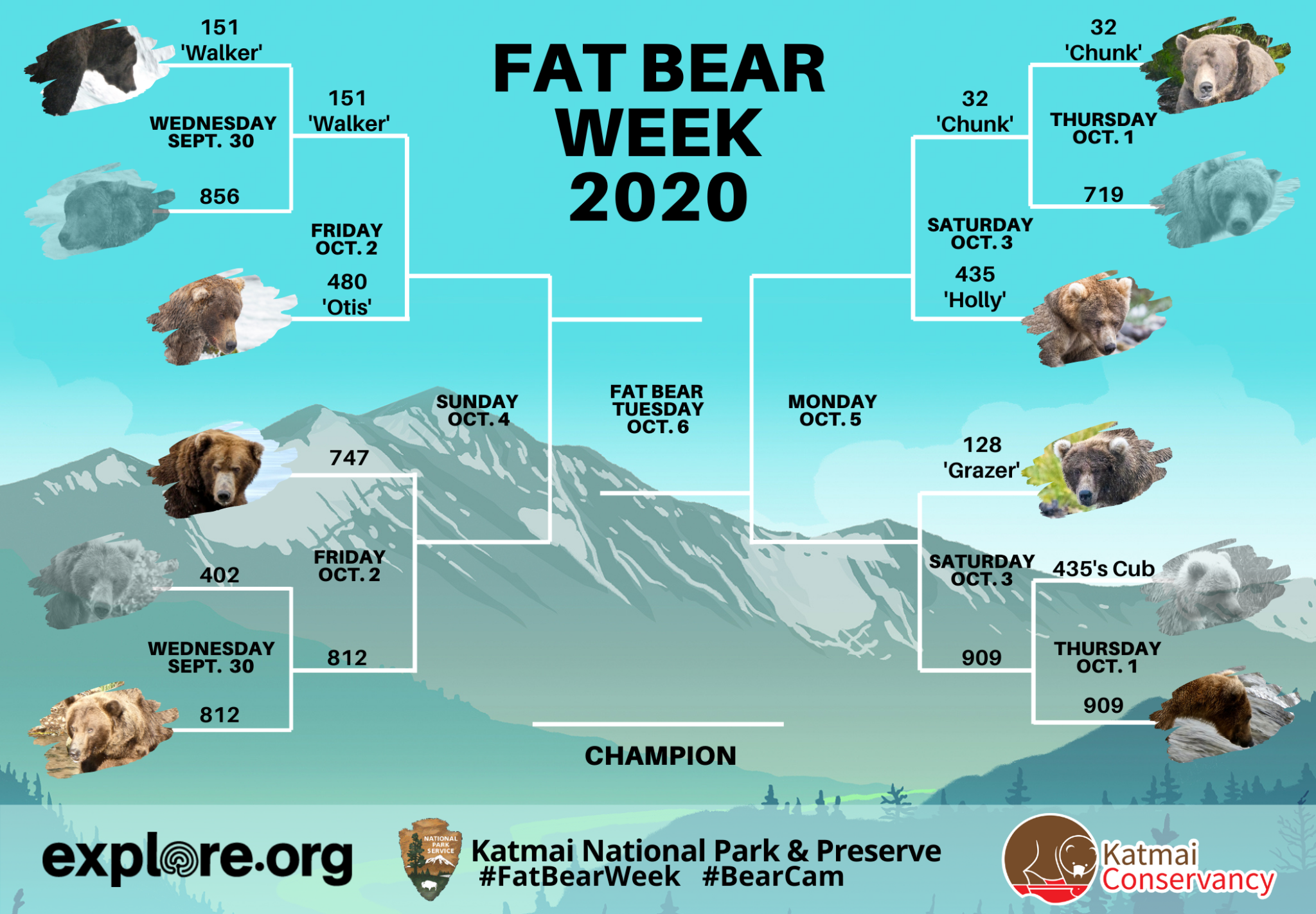 'The fattest Fat Bear Week ever' Large salmon runs key in this year's