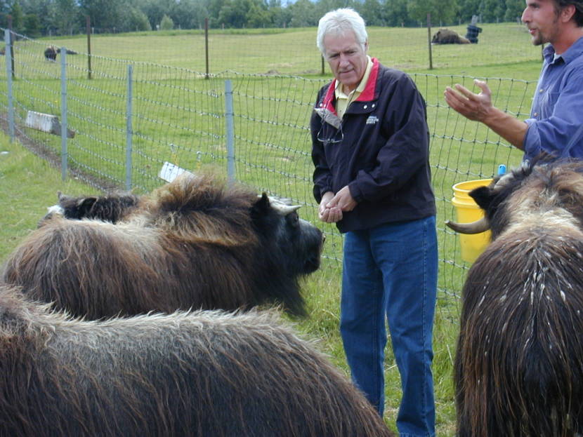 Alex Trebek Musk Ox Farm 003