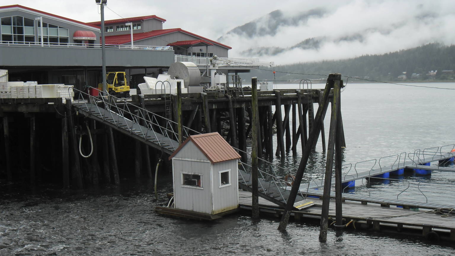 Juneau salmon hatchery forced to destroy fish because of landslide damage