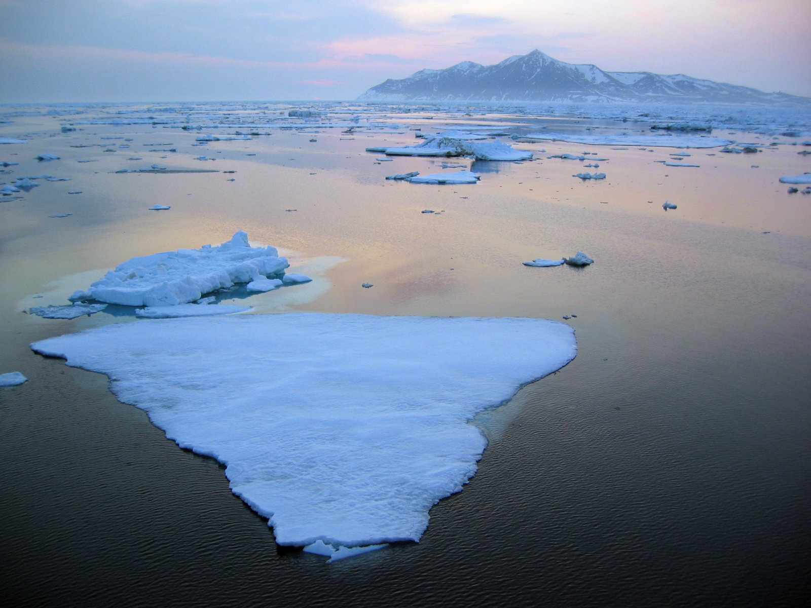 Warming Pacific waters likely adding to Arctic sea ice loss, study finds