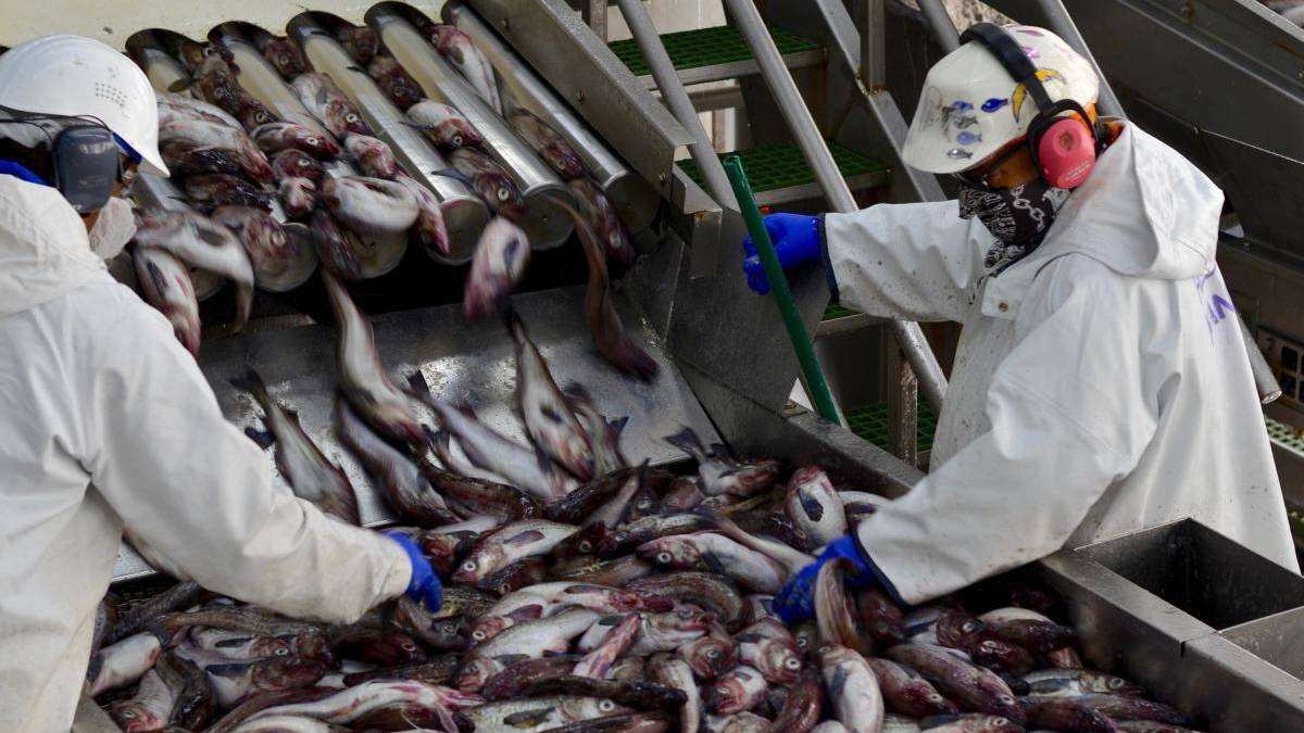 Unalaska warns of possible community spread after COVID-19 spike among ...