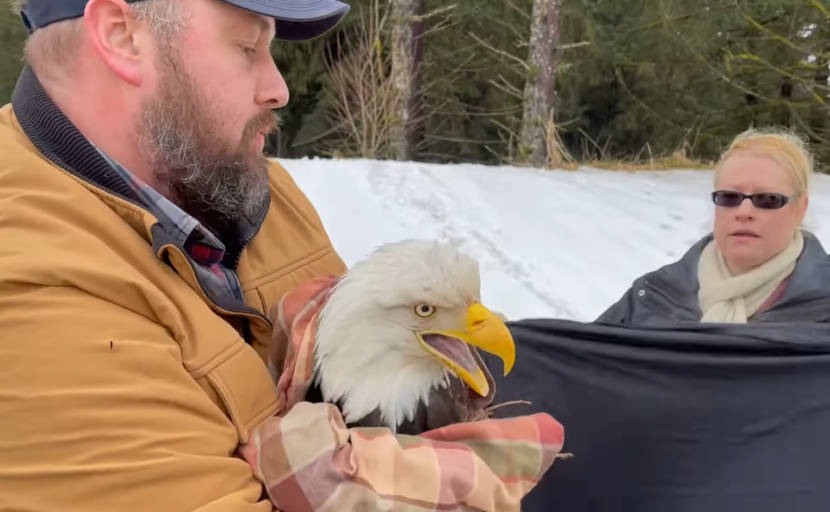 J.D. McComas, Kathy Benner, and the eagle