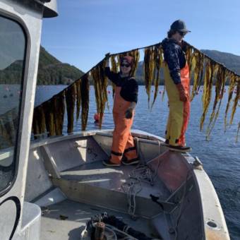 Alaska's Fisheries Are Collapsing. This Congresswoman Is Taking on the  Industry She Says Is to Blame. - POLITICO