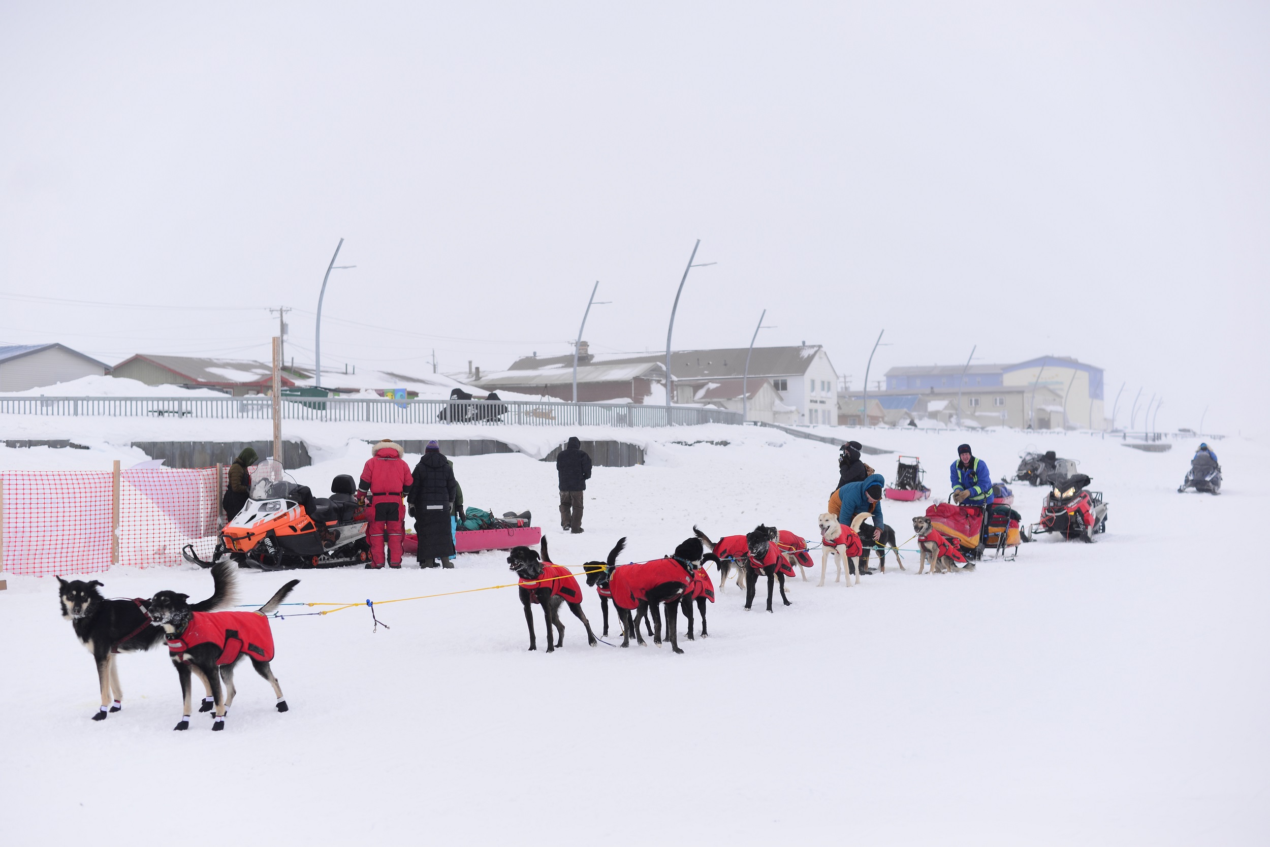 A dozen mushers brave wind, snow and whiteout conditions as the Kobuk 440  kicks off