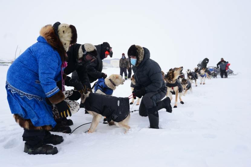 A dozen mushers brave wind, snow and whiteout conditions as the Kobuk 440  kicks off