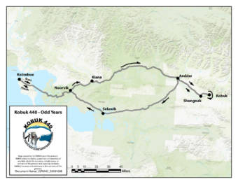 A dozen mushers brave wind, snow and whiteout conditions as the Kobuk 440  kicks off