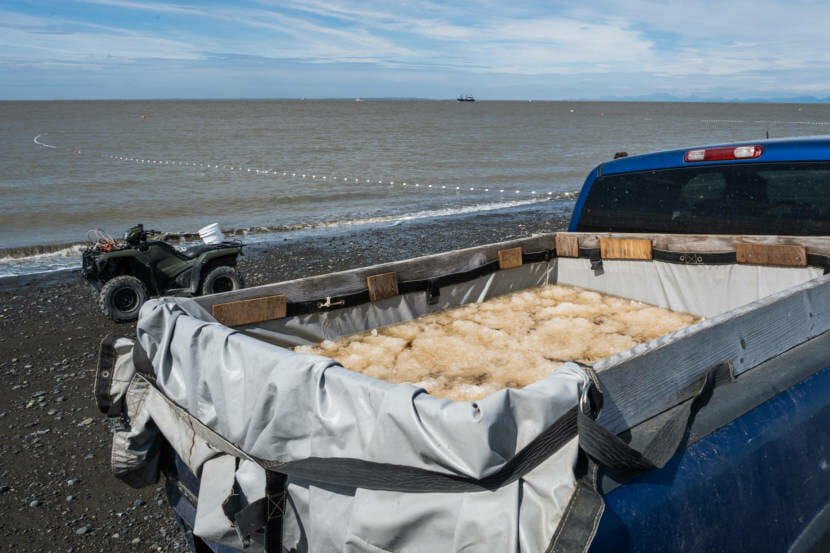 small fishing net - Fishing Nets - Wasilla, Alaska