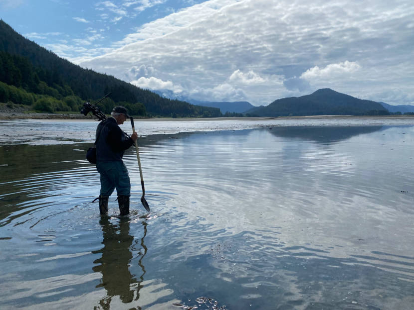 Retired fisheries biologist Bob Armstrong wades through water at Eagle Beach, observing critters in the sand.