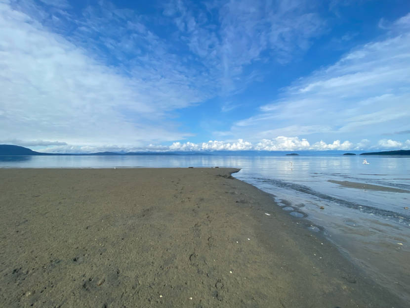 Birds fly over the shoreline at low tide on Juneau’s Eagle Beach in July 2021.