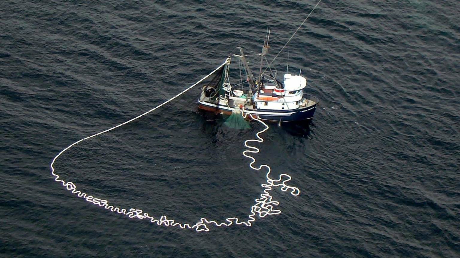 Lunar Bow: purse-seining for mackerel | Fishing News