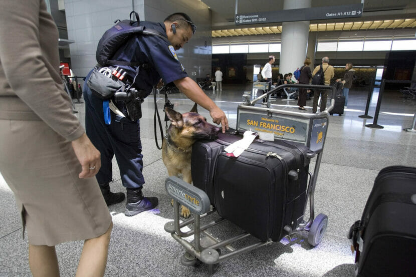 What airport security was like before Sept. 11