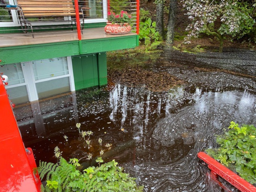 Varni and Funk house and yard flooded