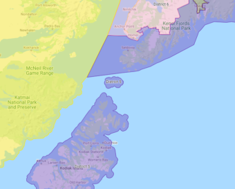 This map shows how under one proposal, residents near Homer would share the same Alaska House of Representatives district as Kodiak. The communities are to the right of Homer in the upper part of the map. (Screen capture of Redistrict Board site)