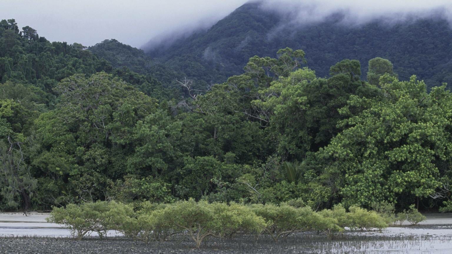 Национальный парк Дейнтри: древние леса и мистические камни Австралии