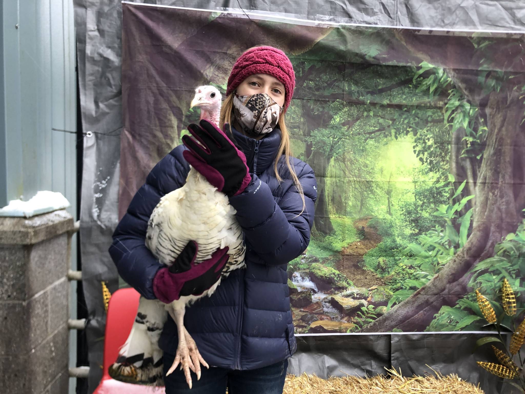 turkey-shoot-raises-funds-for-raising-farm-animals-and-awareness