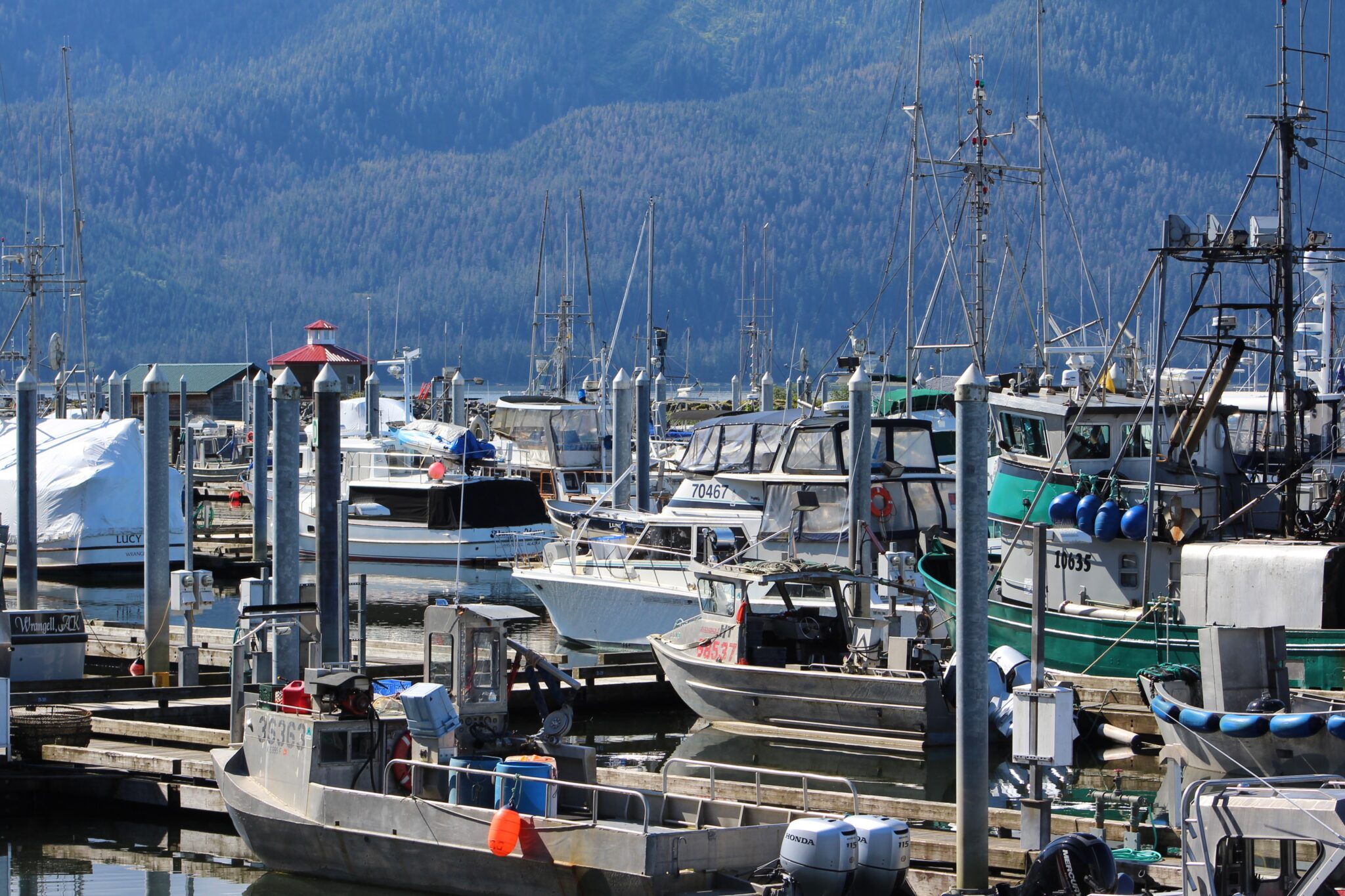 Southeast Alaska Commercial Salmon Harvest 4 Times Higher Than Last Year