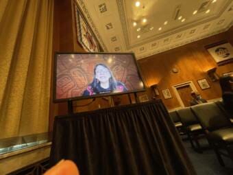 A woman's face on a television screen inside a Senate committee room