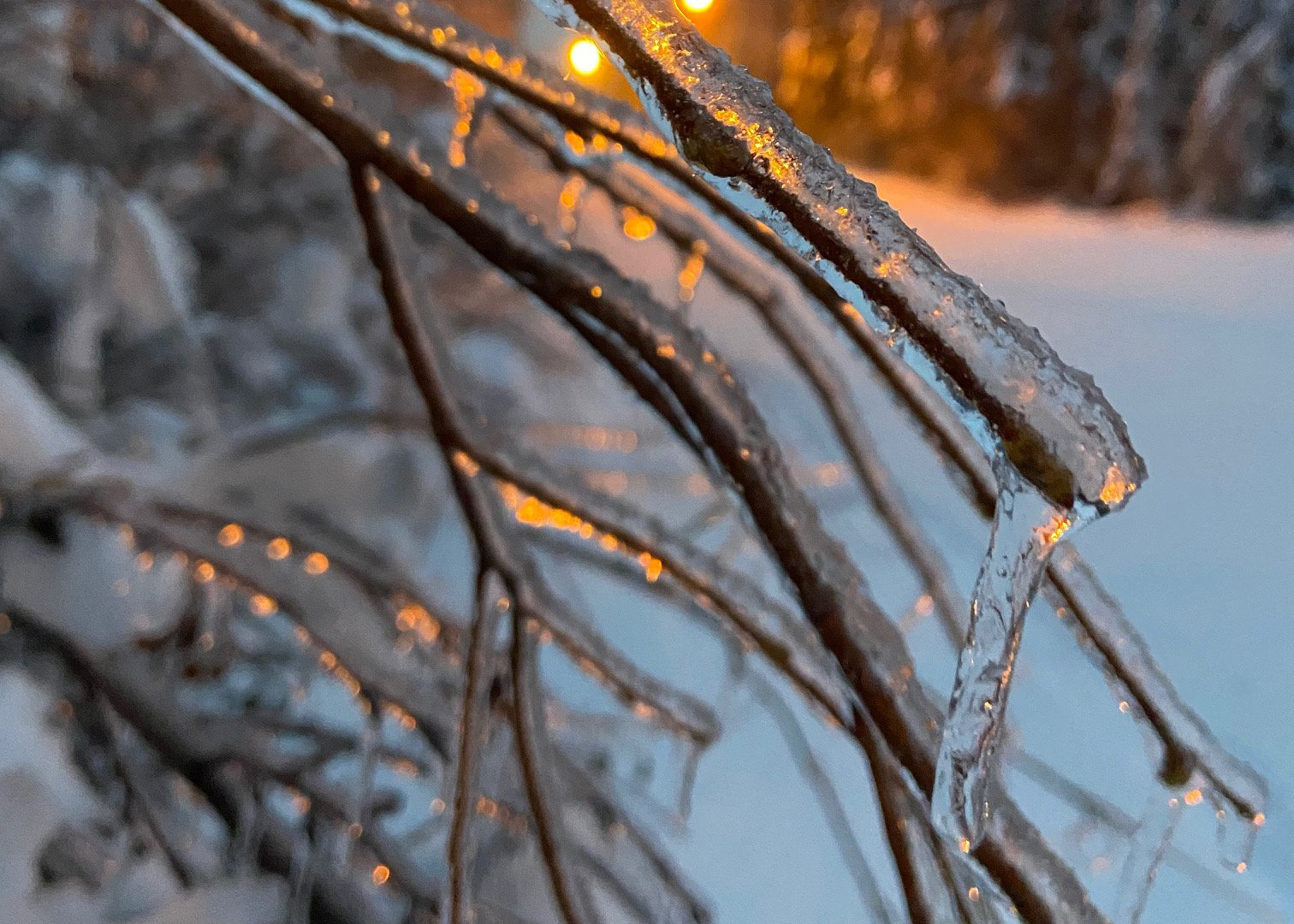 Fairbanks is riding a weather roller coaster, from freezing rain