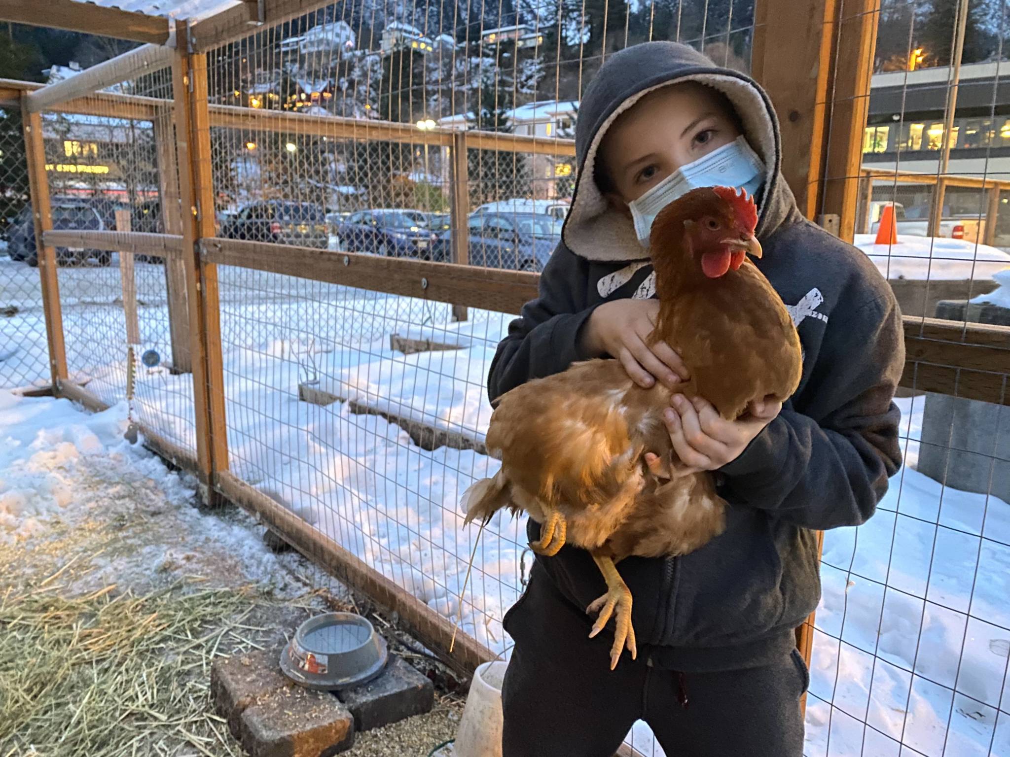 Kids help take care of chickens spending their first winter at Juneau's