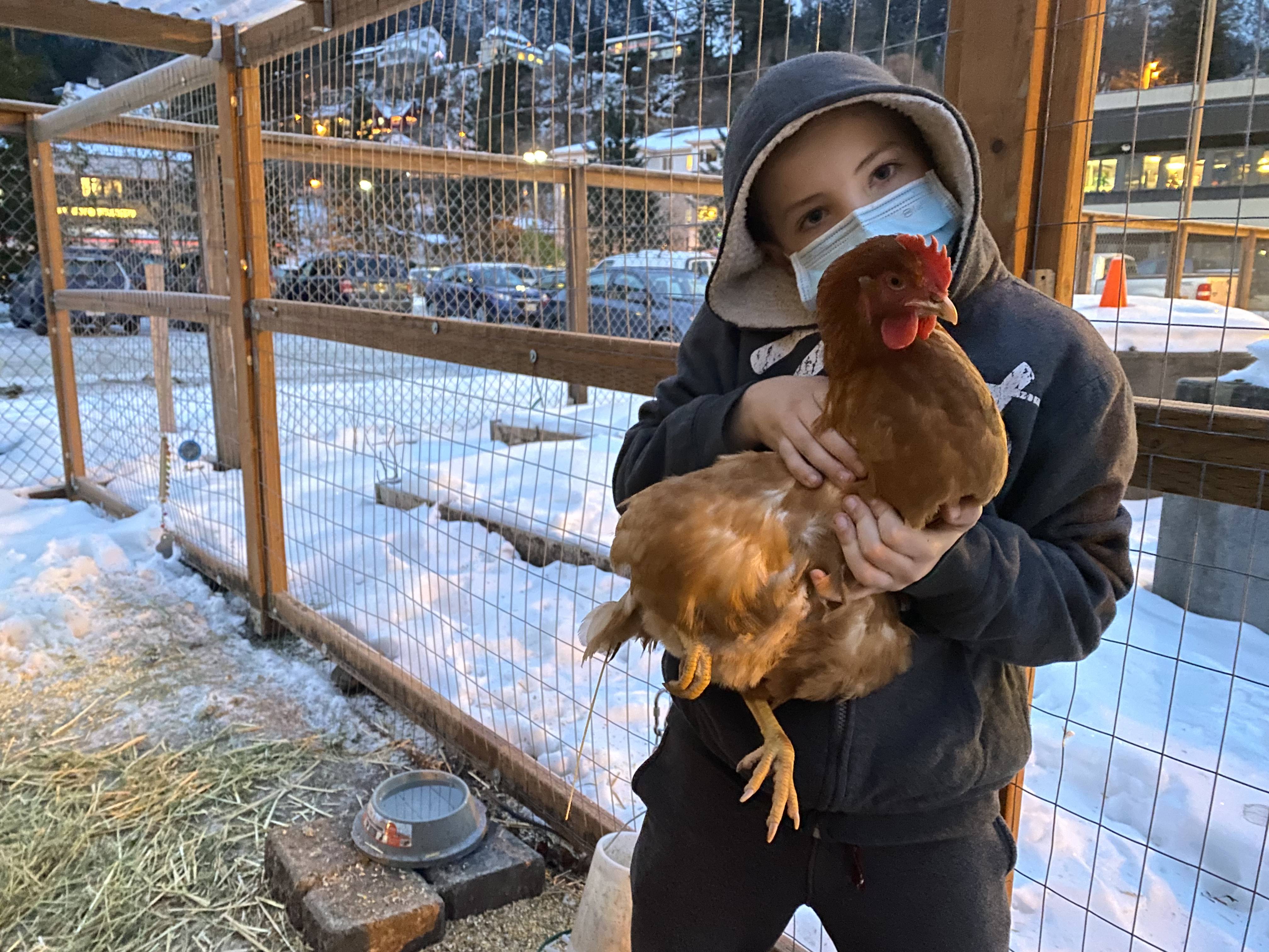 Kids help take care of chickens spending their first winter at