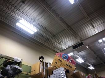A bald eagle perched on top of merchandise in a store, next to a sign that it knocked askew