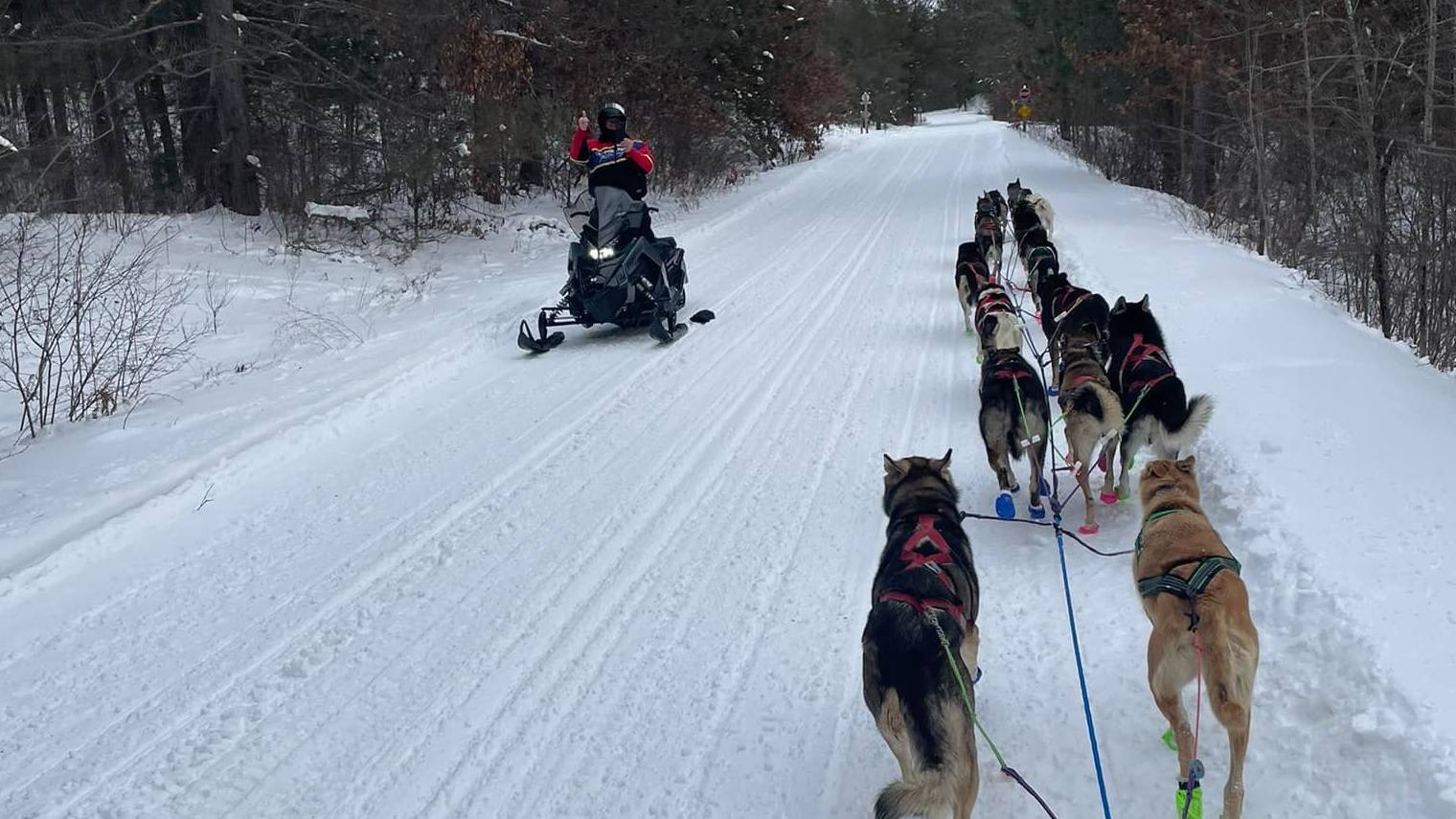 Musher Ryan Redington’s dogs still recovering after hit by snowmachine