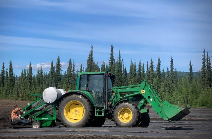 A green tractor in a field with spruce forest in the background