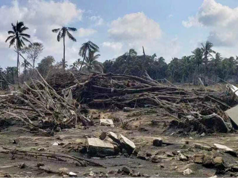 A beach strewn with rubble, downed trees, mud and ash
