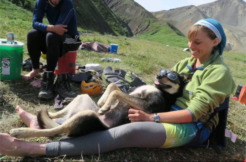 A sled dog wearing sunglasses lying on his back on a woman's lap, in the mountains
