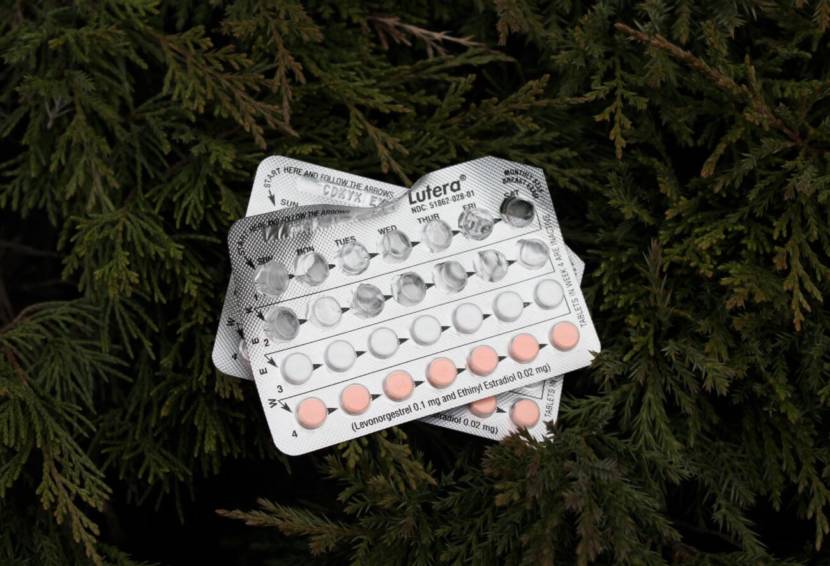 Two blister packs of birth control pills, in a tree
