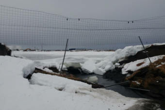Water flowing from a breach in an ice-covered sewage lagoon