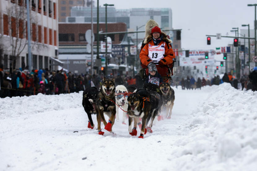 A dog team running on an Anchorage street