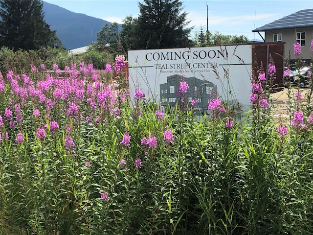A coming soon sign with blooming fireweed in front of it