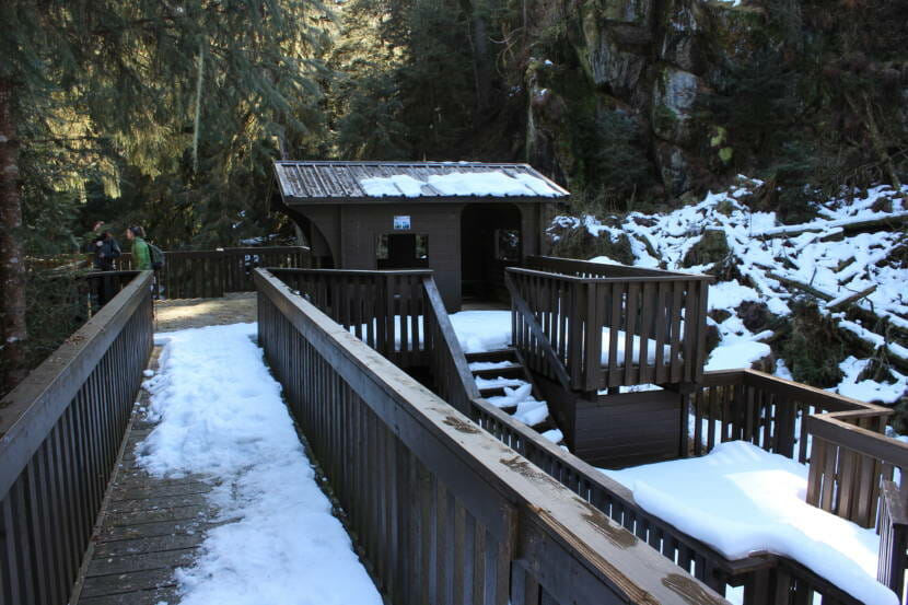A wooden walkway and platform in a forest