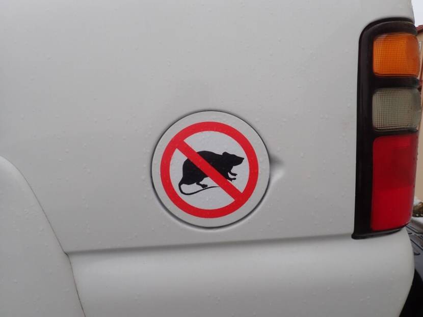 A "no rats" sticker on the gas cap cover of a white vehicle