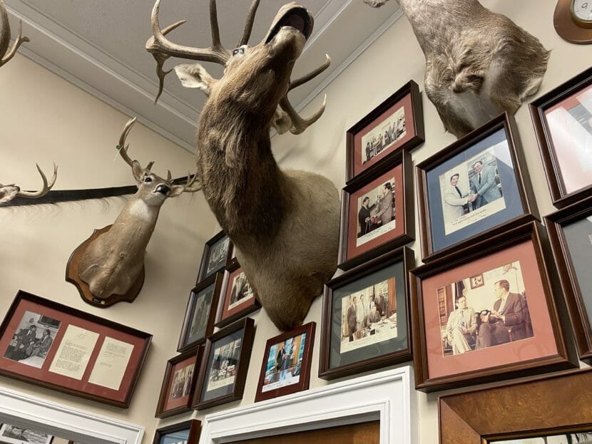 Animal heads and framed photos cover a cluttered wall