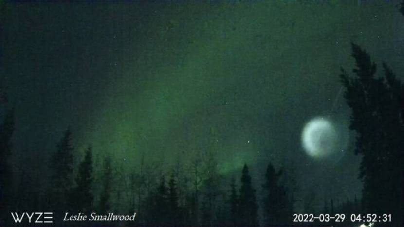 A whitish globe in the sky above spruce forest, with green aurora above it
