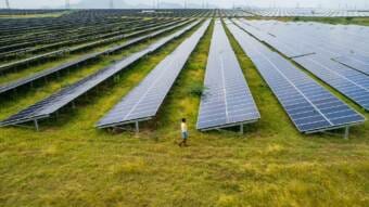 An array of solar panels in a green field