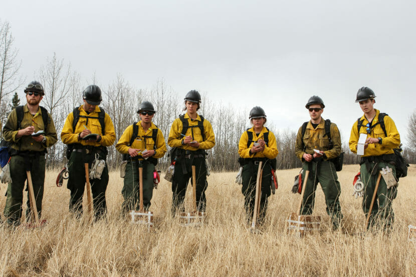 Seven people in firefighting gear taking notes in an open field