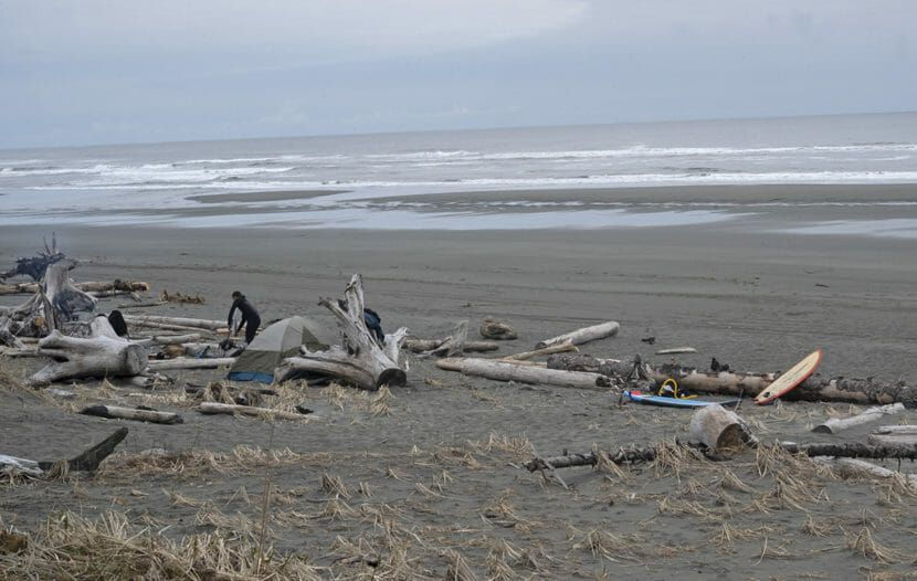 People waxing surfboards among driftwood on an Alaskan beach
