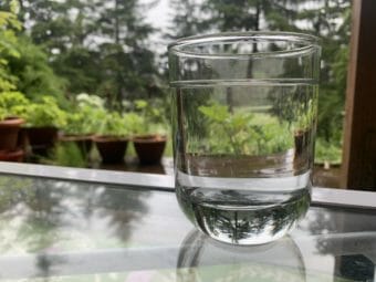 A glass of water on a window sill