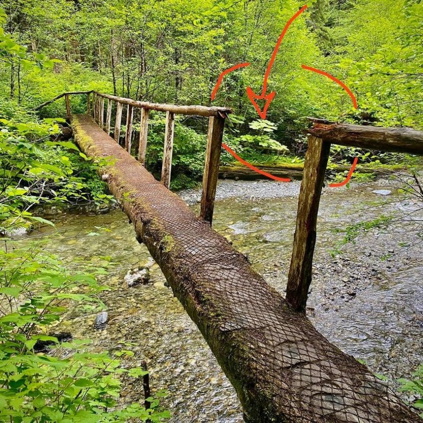 An image of a narrow footbridge over a stream. A section of railing is gone where the hiker fell through it.