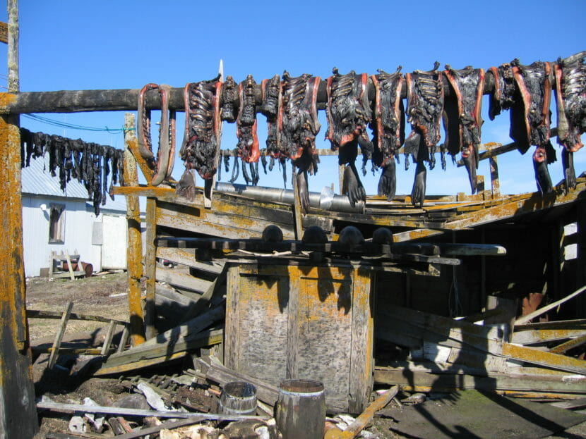 Strips of meat drying on horizontal poles