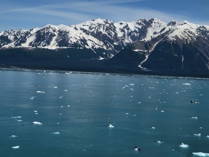 Open water dotted with floating ice