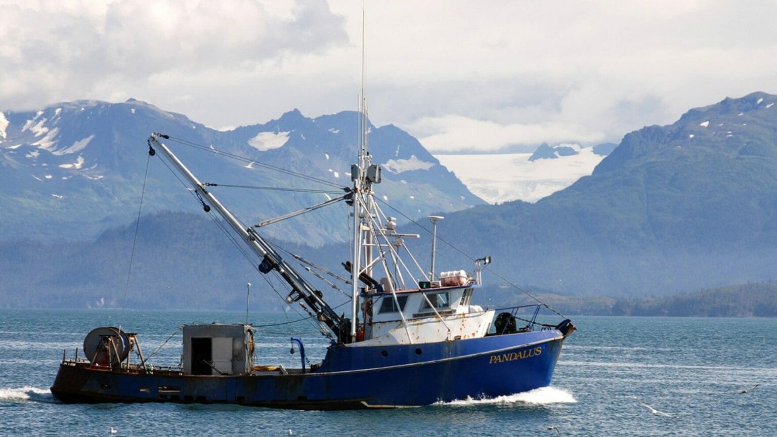 In victory for commercial fishermen, court orders Cook Inlet fishery to ...