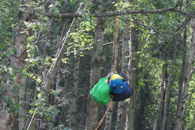 Bags of food hung from a tree branch